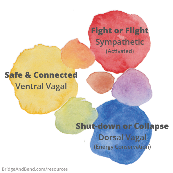 A watercolour illustration of colours representing the nervous system states: Yellow = safe & connected (Ventral Vagal); Red = fight of flight (sympathetic); Blue = shout-down or collapse (dorsal vagal)
